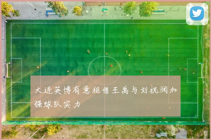 大连英博有意租借王禹与刘祝润加强球队实力